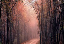 开云体育：不用质疑，早上空腹有氧燃脂效果最好.