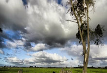 [天下足球]火速救“仁” 萨拉戈萨提前加盟拜仁.