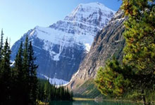 乒乓球——WTT重庆冠军赛：王曼昱晋级四.