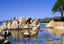 [德甲]第34轮：柏林联VS不来梅.